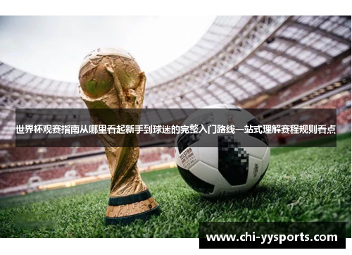世界杯观赛指南从哪里看起新手到球迷的完整入门路线一站式理解赛程规则看点